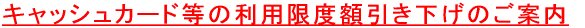 LbVJ[h̗pxẑē 